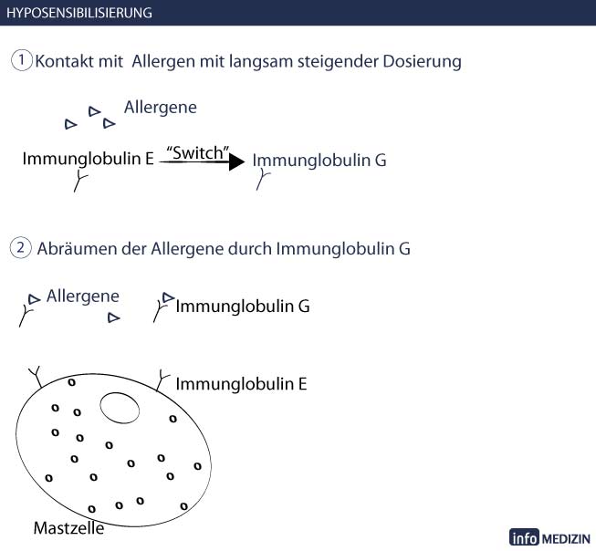 Allergie Hyposensibilisierung