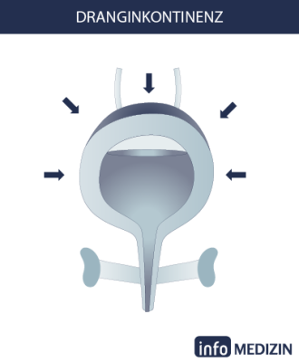 inkontinenz dranginkontinenz info medizin